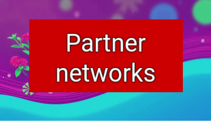 Partner networks. Collaborating with Content Creators and Launching Performance-Based Programs.